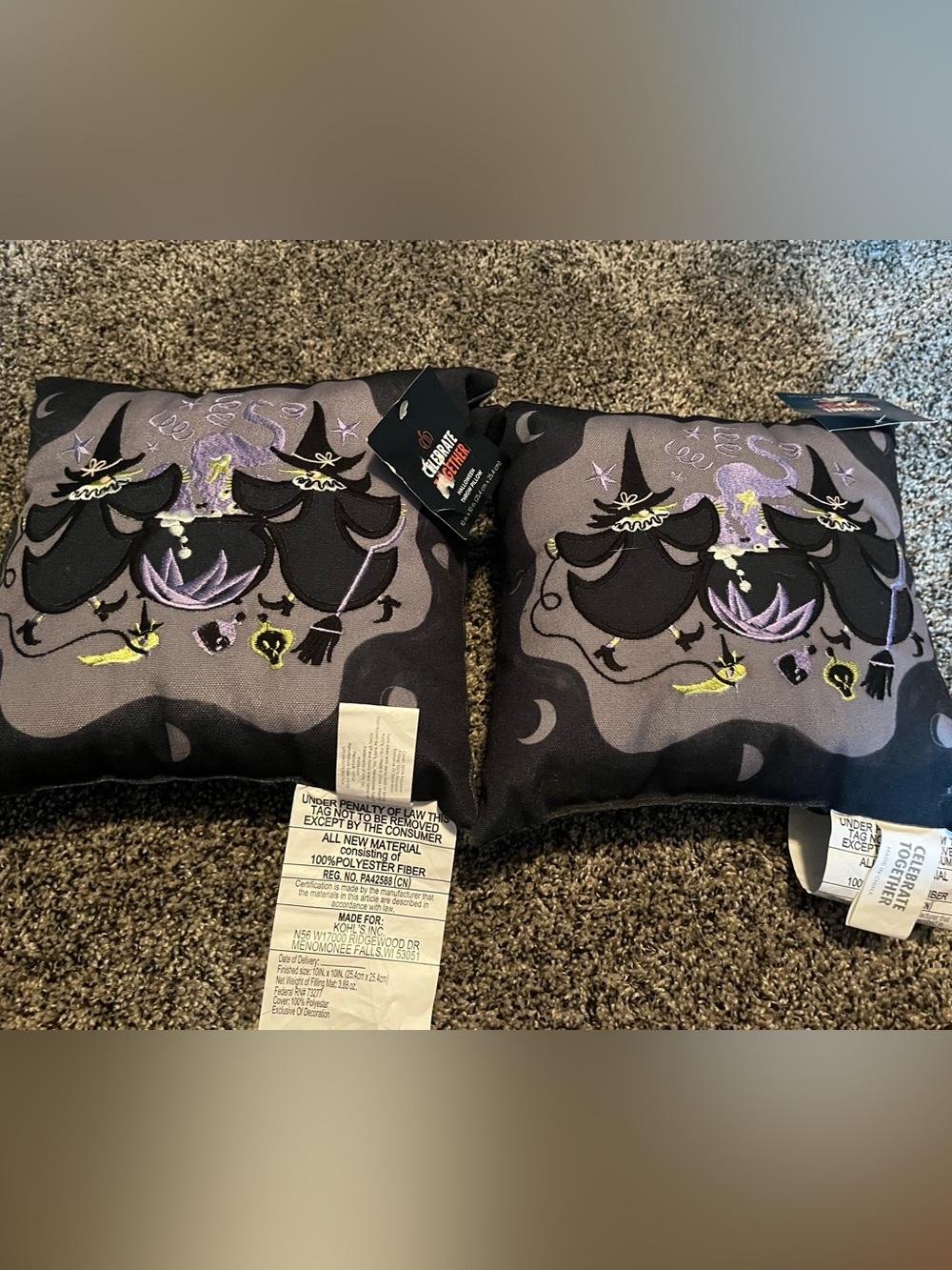 Set of 2 Halloween pillows